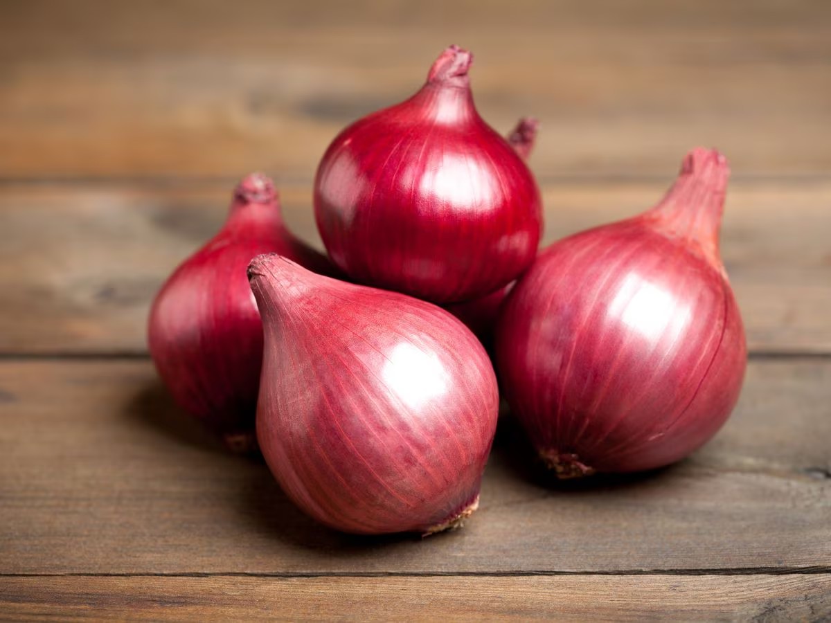 Onion Price : ಬೆಂಗಳೂರಿನಲ್ಲಿ ಕೆಜಿಗೆ ₹35ಕ್ಕೆ ಈರುಳ್ಳಿ ಮಾರಾಟ..!!
