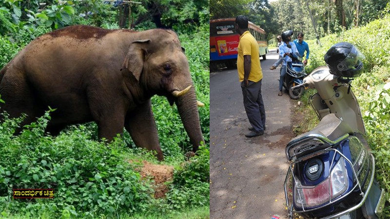 Kodagu : ಕೊಡಗಿನಲ್ಲಿ ಕಾಡಾನೆ ದಾಳಿ: ಬೈಕ್‌ನಲ್ಲಿ ತೆರಳುತ್ತಿದ್ದ ಇಬ್ಬರು ಕಾರ್ಮಿಕರು ಗಂಭೀರ..!!