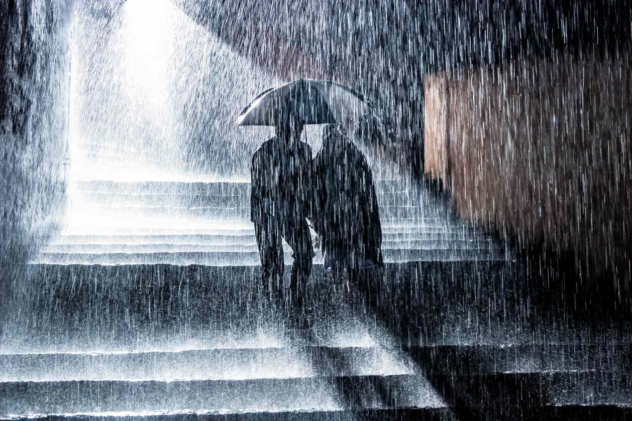Bengaluru Rain: ಮಳೆಗೆ ಬೃಹತ್ ಮರ ಧರೆಗೆ; ಐದಾರು ಅಂಗಡಿಗಳಿಗೆ ಹಾನಿ..!!