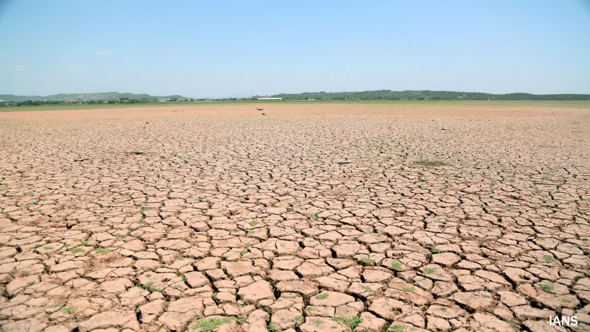 Karnataka Weather : ರಾಜ್ಯದ ಬಹುತೇಕ ಜಿಲ್ಲೆಗಳಲ್ಲಿ ಒಣಹವೆ..!